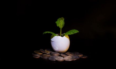 How to Invest in Stable Coins for Long-Term Growth