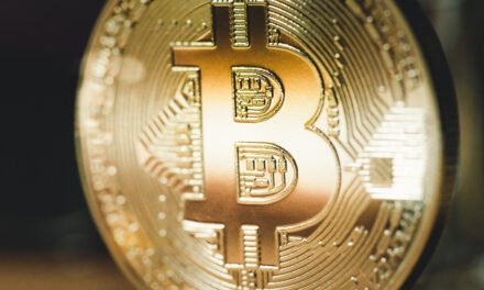 The Rise of Stablecoins: A Safe Haven in Volatile Markets