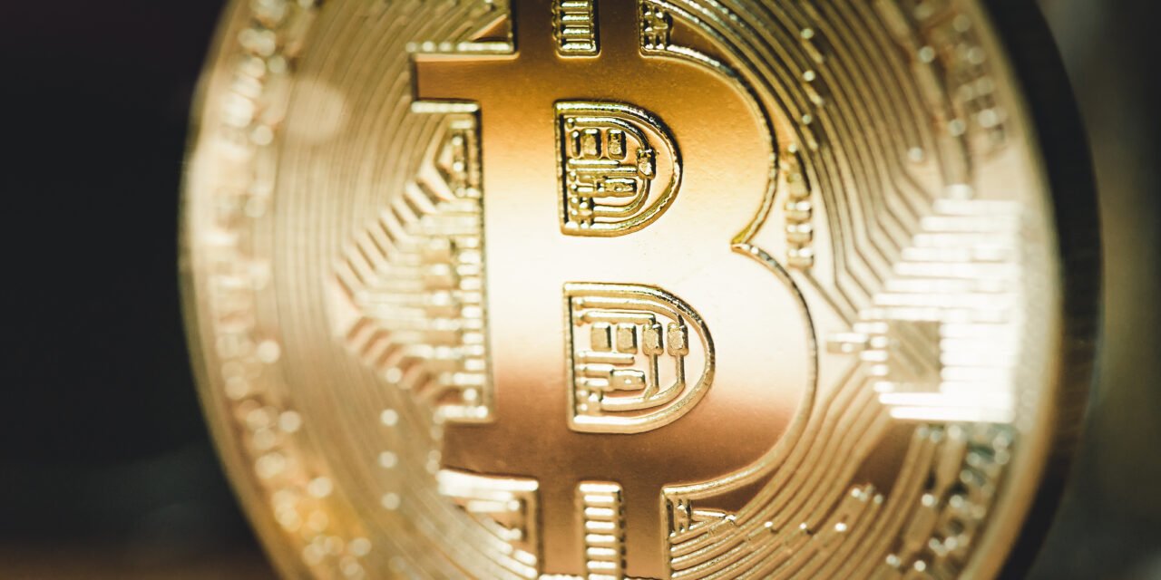 Stable Coins: The Future of Cryptocurrency Stability